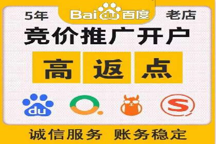 抖音信息流代理在电商行业的应用案例分析